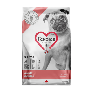 1st Choice Chien Derma au Saumon
