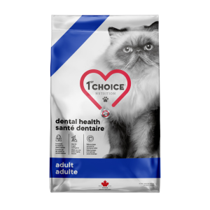 1st Choice Chat Dentaire Poulet