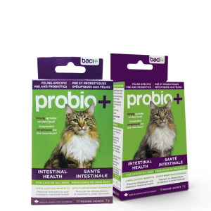 Baci+ Probio+ pour Chats