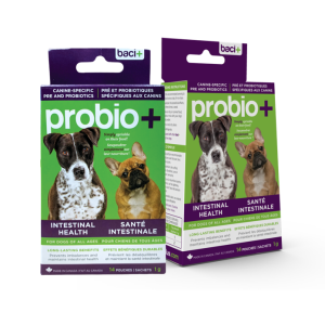 Baci+ Probio+ pour Chiens