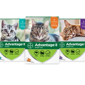 Elanco Advantage || Chaton et Chat