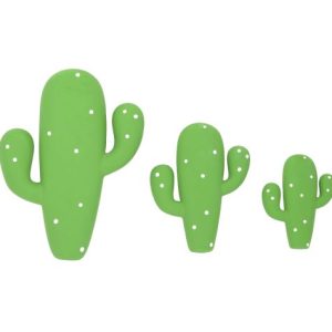 Bud'z Cactus «squeak»