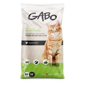 Gabo Chat/Chaton Poulet