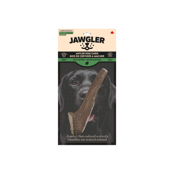 Jawgler/Dentler Bois de Cervidé Naturel Entier