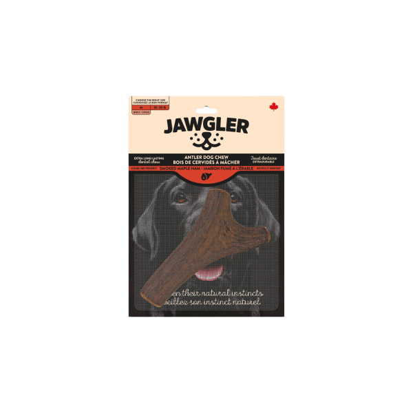 Jawgler/Dentler Bois de Cervidé au Jambon/Érable Entier