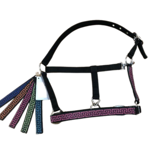Licou Nylon Motifs