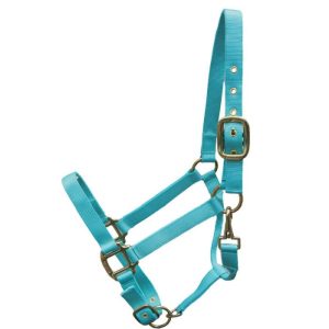 Licou Nylon Uni - Couleurs Variées