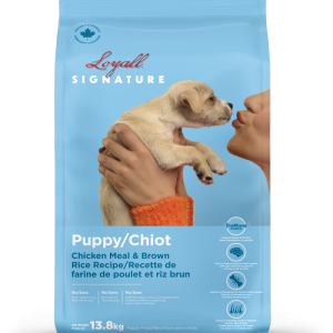 Loyall Signature Chiot