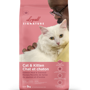 Loyall Signature Chat/Chaton Saumon