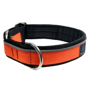 Nahak Collier Rembourré avec Réflecteur - Orange