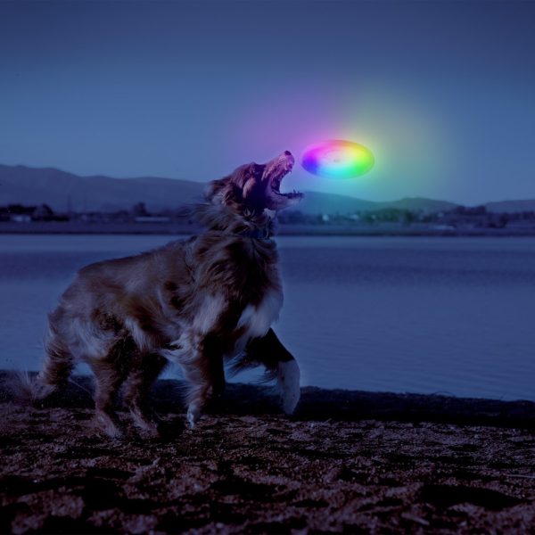 Nitelze Frisbee Led – Image 5