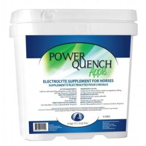 Power Quench Électrolytes à Saveur de Pommes