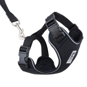 RcPets Harnais pour Chat Noir