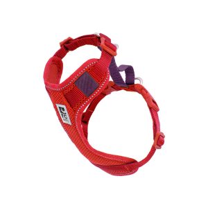 RcPets Harnais Moto - Bourgogne & Goji