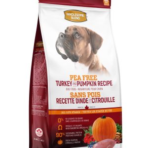 Wholesome Blend Sans Pois Chien Dinde et Citrouille