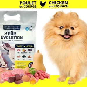 PurEvolution Chien Poulet et Courge