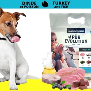 PurEvolution Chien Dinde et Poisson