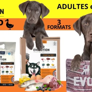 PurEvolution Chien Canard et Baies