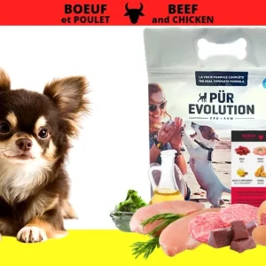 PurEvolution Chien Boeuf et Poulet