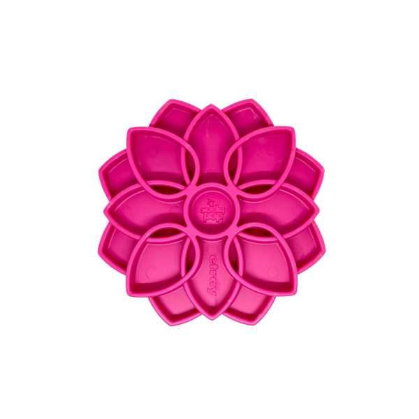 Big Country Raw SodaPup Bol Ralentisseur Mandala Rose