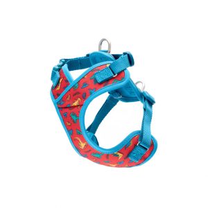 Rcpets Harnais pour petit chien explorateur - Dino