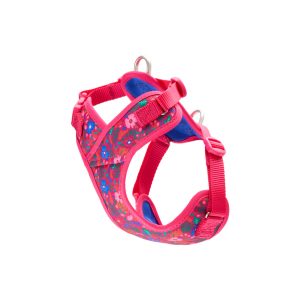 Rcpets Harnais pour petit chien explorateur - Frida