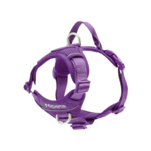 RcPets Harnais Momentum - Mauve