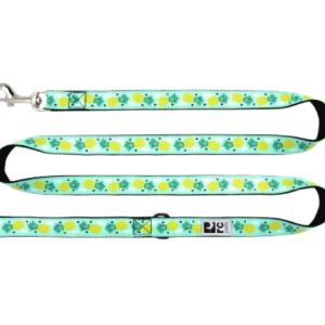 Rcpets Laisse Ananas