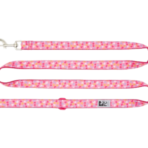 Rcpets Laisse Coeurs