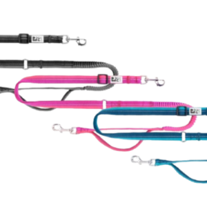 RcPets Laisse pour Chien Bungee Active 1x6.5'