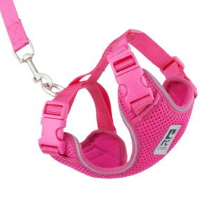 RcPets Harnais pour Chat Framboise