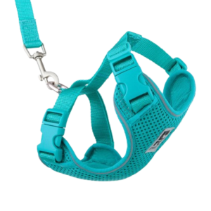 RcPets Harnais pour Chat Bleu
