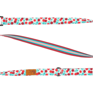 Rcpets Laisse Éco - Buffet de Cerises & Rayure du Verger