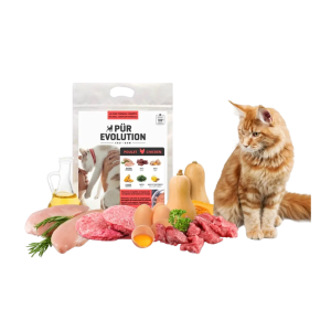 PurEvolution Chat Poulet