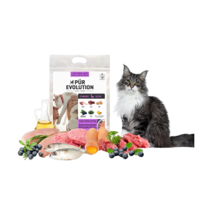 PurEvolution Chat Canard