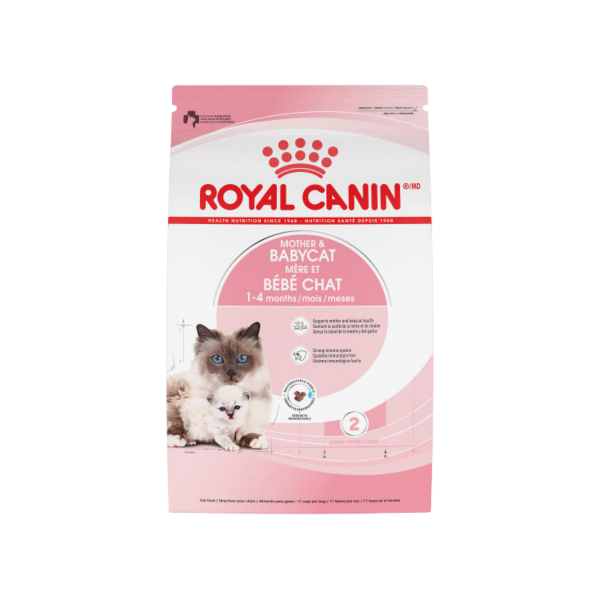 RC Chat Mère et Bébé