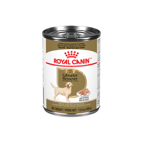 RC Conserve Chien Labrador 385g