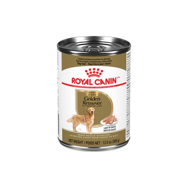 RC Conserve Chien Golden Retriever 385g