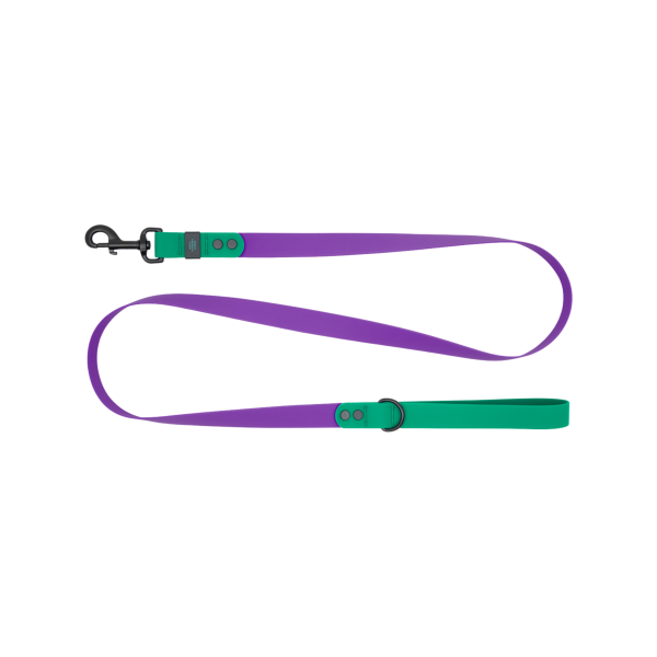 RcPets Laisse Imperméable Mauve/Perruche