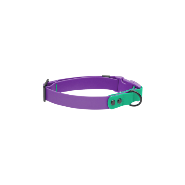 RcPets Collier Imperméable Mauve/Perruche