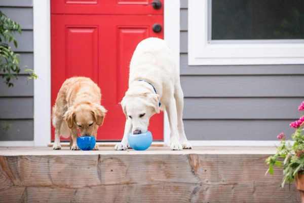 O.Hound Jouet Balle Snoop Petite Bleu – Image 2