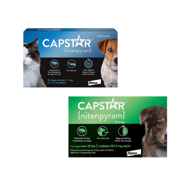 Capstar Traitement Oral Anti-puces paquet de 6