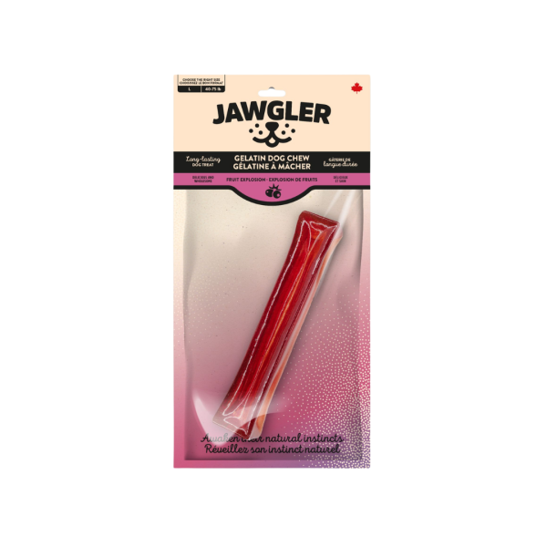Jawgler Gélatine Explosion de Fruit