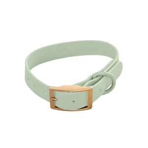 Dexypaws Collier Imperméable Pour Chien, Couleur Vert Sauge