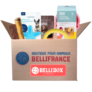 Bellibox «La Thématique»