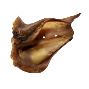 Wawwaw Oreille Porc Géante