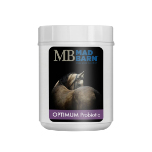 Mad Barn Optimum Probiotique Supplément pour Cheval 500g