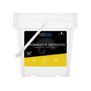 Mad Barn Performance XL Électrolytes pour Cheval