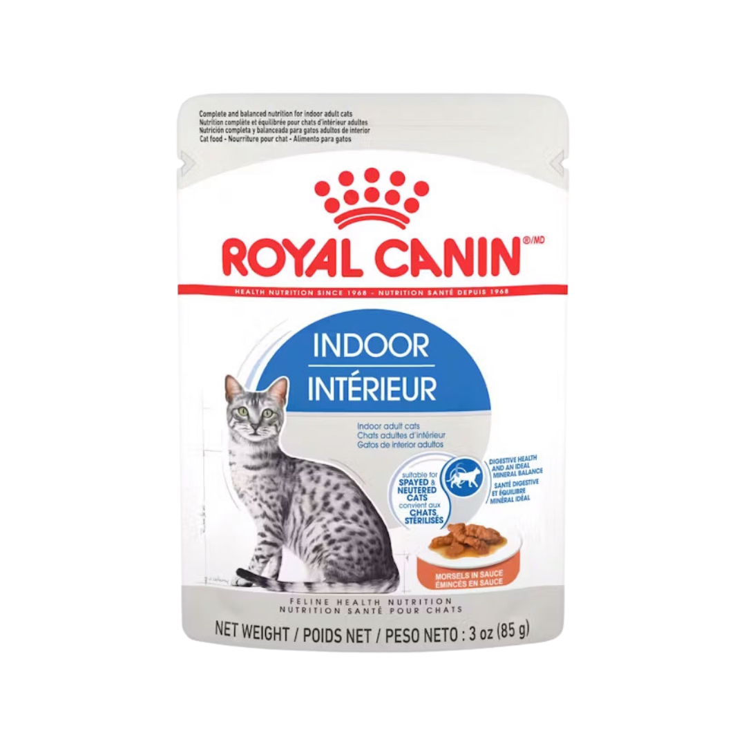 Rpyal Canin Émincé en sauce pour chat adulte intérieur - Boîte de 12